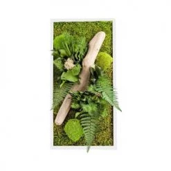 Naturalys Plantes D'intérieur Et Fleurs D'intérieur Tableau Végétal Stabilisé Nature Rectangle 27 X 58 Cm -Parasols Soldes Magasin tableau vegetal stabilise nature rectangle 27 x 58 cm 2