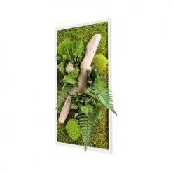 Naturalys Plantes D'intérieur Et Fleurs D'intérieur Tableau Végétal Stabilisé Nature Rectangle 27 X 58 Cm