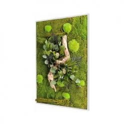 Naturalys Plantes D'intérieur Et Fleurs D'intérieur Tableau Végétal Stabilisé Nature Rectangle 40 X 90 Cm