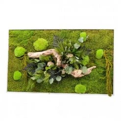 Naturalys Plantes D'intérieur Et Fleurs D'intérieur Tableau Végétal Stabilisées Nature Rectangle 57 X 97 Cm -Parasols Soldes Magasin tableau vegetal stabilisees nature rectangle 57 x 97 cm 1