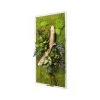 Naturalys Plantes D'intérieur Et Fleurs D'intérieur Tableau Végétal Stabilisées Nature Rectangle 57 X 97 Cm -Parasols Soldes Magasin tableau vegetal stabilisees nature rectangle 57 x 97 cm