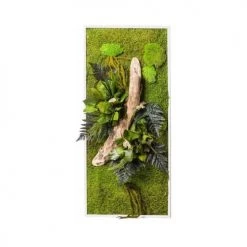 Naturalys Plantes D'intérieur Et Fleurs D'intérieur Tableau Végétal Stabilisées Nature Rectangle 57 X 97 Cm -Parasols Soldes Magasin tableau vegetal stabilisees nature rectangle 57 x 97 cm 2