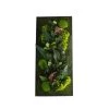 Naturalys Plantes D'intérieur Et Fleurs D'intérieur Tableau Végétalisé Rectangle L Noir 40x90cm -Parasols Soldes Magasin tableau vegetalise rectangle l noir 40x90cm