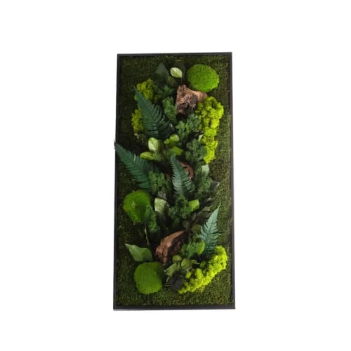 Naturalys Plantes D'intérieur Et Fleurs D'intérieur Tableau Végétalisé Rectangle L Noir 40x90cm 3 Naturalys Plantes D'intérieur Et Fleurs D'intérieur Tableau Végétalisé Rectangle L Noir 40x90cm