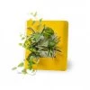 Wall Flower Plantes D'intérieur Et Fleurs D'intérieur Tableau Végétalisé S Métal édition Jaune 34x32cm -Parasols Soldes Magasin tableau vegetalise s metal edition jaune 34x32cm