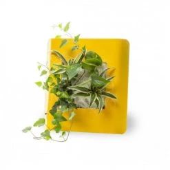 Wall Flower Plantes D'intérieur Et Fleurs D'intérieur Tableau Végétalisé S Métal édition Jaune 34x32cm