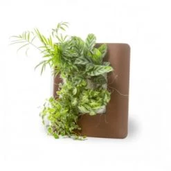 Wall Flower Plantes D'intérieur Et Fleurs D'intérieur Tableau Végétalisé S Métal édition Rouge 34x32cm -Parasols Soldes Magasin tableau vegetalise s metal edition rouille 34x32cm 9