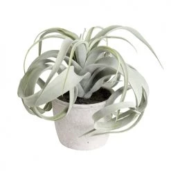 Sia Deco Plantes D'intérieur Et Fleurs D'intérieur Tillandsia Artificielle En Pot D'argile