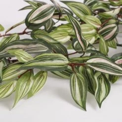 Mica Decorations Plantes D'intérieur Et Fleurs D'intérieur Tradescantia Artificielle Suspendue H80 -Parasols Soldes Magasin tradescantia artificielle suspendue h80 2