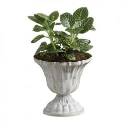 Mathilde M Pots, Cache-pots Et Jardinières D'extérieur Vasque Métal Jardin Antique Petit Modèle -Parasols Soldes Magasin vasque metal jardin antique petit modele 1