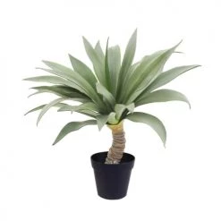 Now’s Home Plantes D'intérieur Et Fleurs D'intérieur Yucca Artificiel Esprit Végétal H55cm
