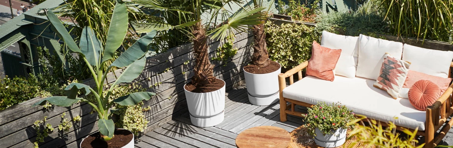 Parasols Soldes Magasin -Parasols Soldes Magasin 未标题 1